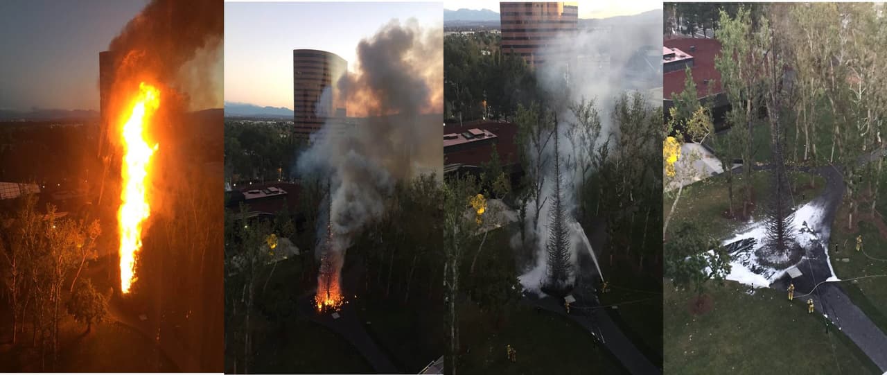 Arde un árbol de Navidad de más de 90 pies en Costa Mesa