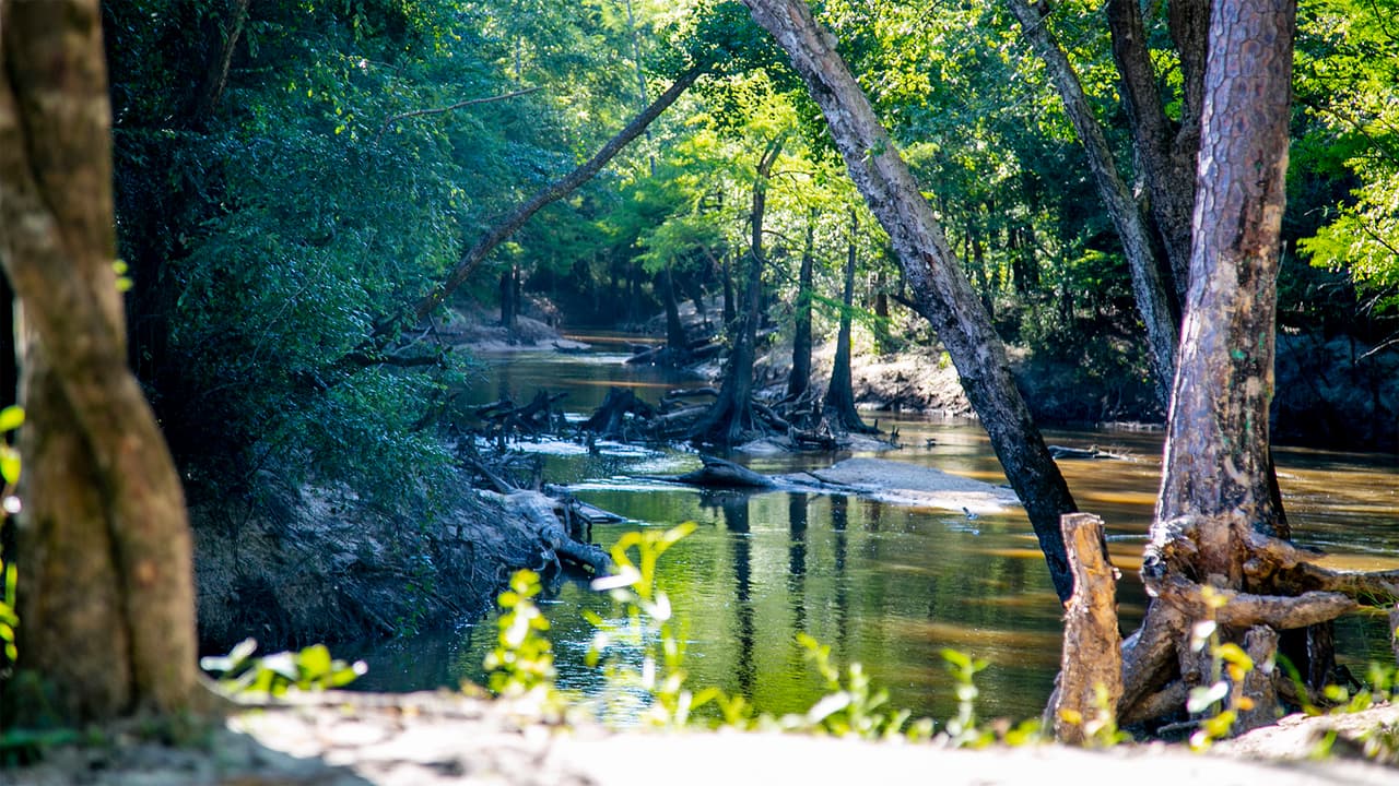 Baby Galvez tiene acceso para vehículos hasta la bahía donde se pueden meter los kayaks al arrollo. Allí hay áreas sombreadas, con grandes árboles donde se pueden colgar hamacas o instalar una carpa.