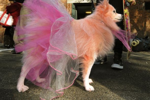 Las princesas, como en los cuentos, tampoco pudieron faltar.