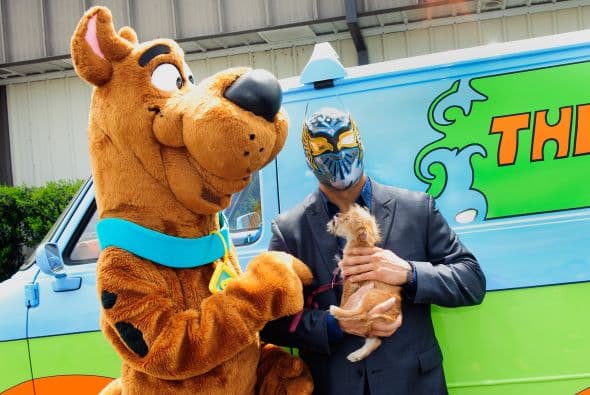 Mira más fotos del evento. Conoce también a estos perros superdotados