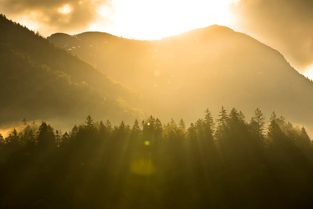 La energía eólica es algo importante también que no podemos adoptar como seres humanos comunes, pero podemos ir desechando otras energías que van dañando la naturaleza, como la gasolina, el carbono. Sé más 'verde'.