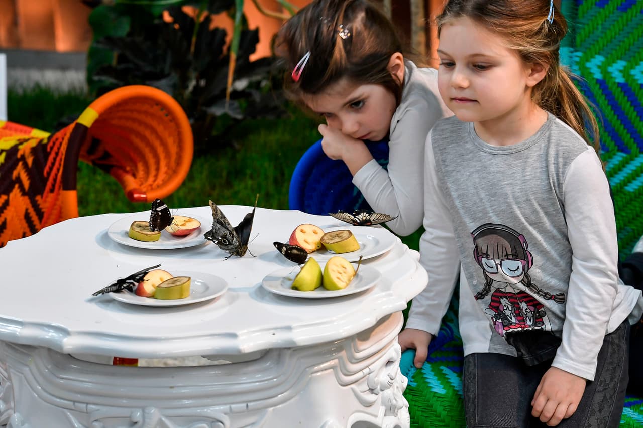 <b>Hagan experimentos de ciencias.</b> Pueden hacerlos tan elaborados como usted y su hijo quieran. Planten pasto o una hierba u hortaliza como frijol, apio o albahaca, y observen y tomen fotos o notas de cómo va creciendo con los días. Jueguen con imanes, coleccionen rocas u hojas de diferentes formas, texturas y tamaños y clasifíquenlas. Aquí tiene 
<a href="https://www.guiainfantil.com/articulos/educacion/aprendizaje/experimentos-de-ciencia-divertida-para-ninos/">12 ideas de experimentos para hacer con niños. </a>El mundo a su alrededor es como un gran laboratorio donde las posibilidades de explorarlo y estudiarlo son infinitas.