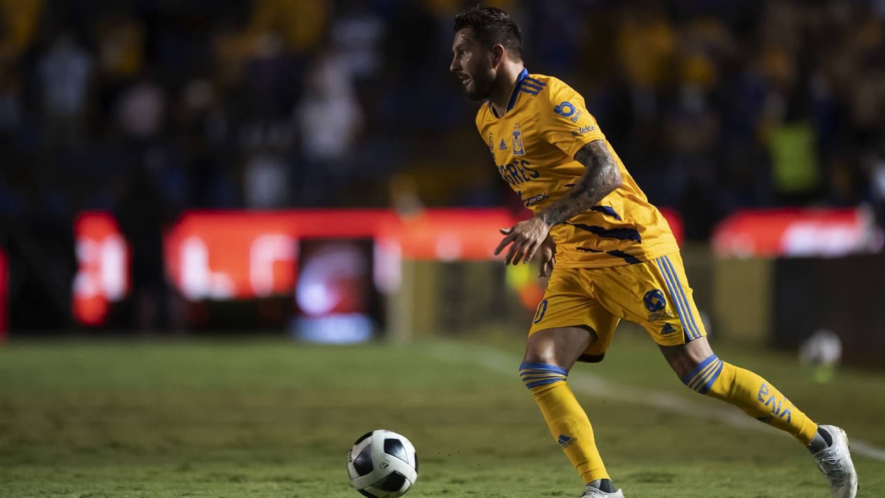Tigres sonríe… Gignac está de regreso y apunta a ser titular