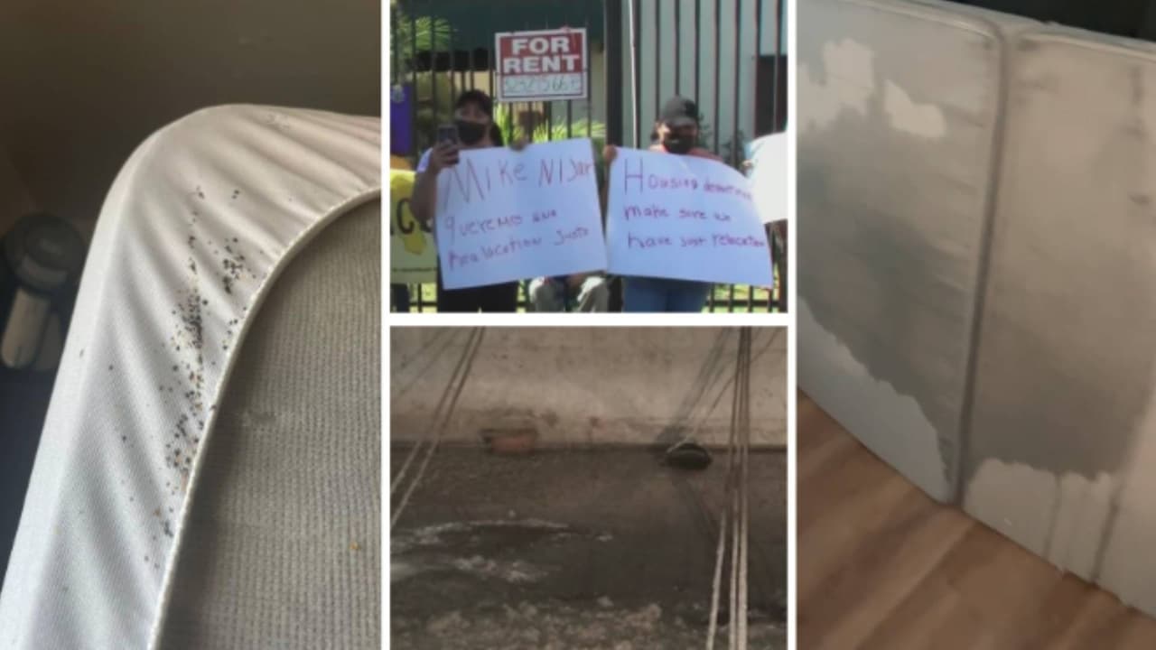“Es frustrante”: inquilinos denuncian vivir entre moho, ratas, chinches y plomo en edificio de Los Ángeles