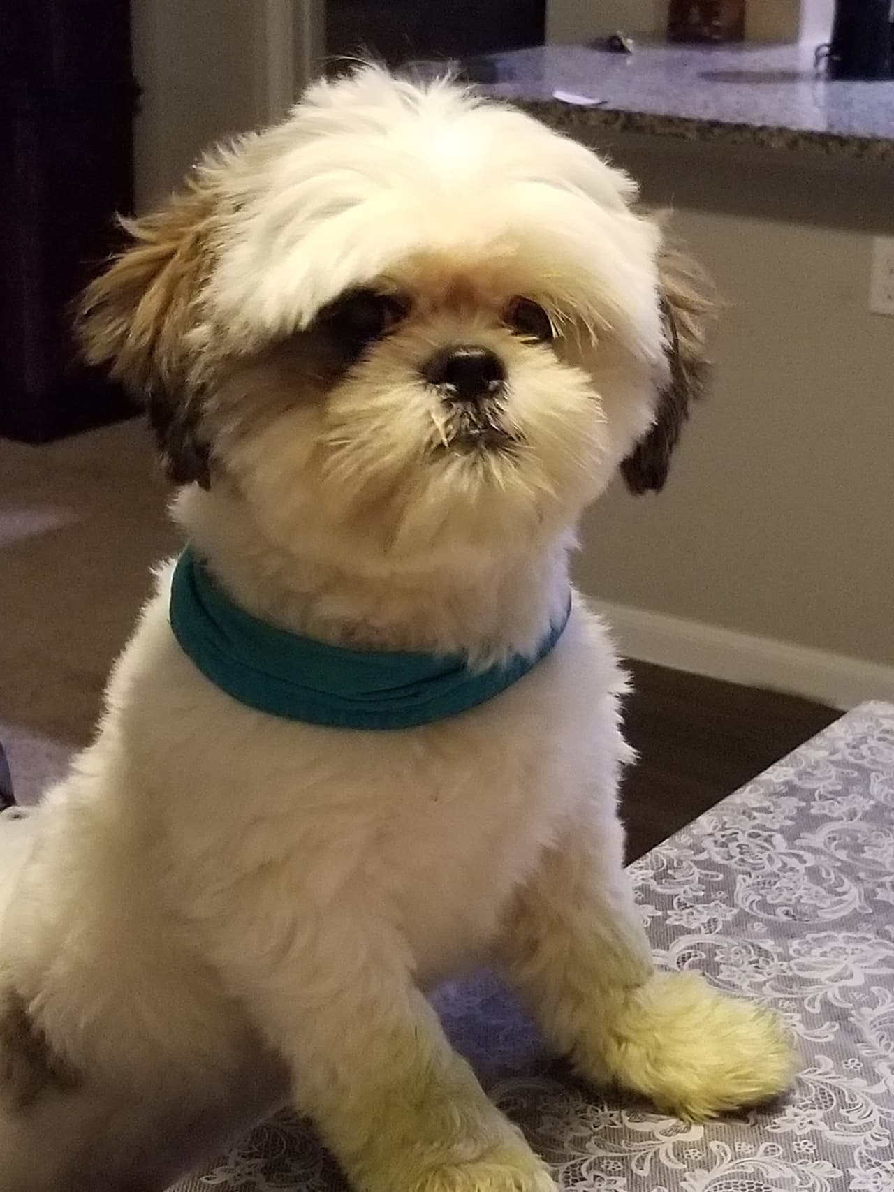 Mayra De León compartió una foto de Jacobo🐾