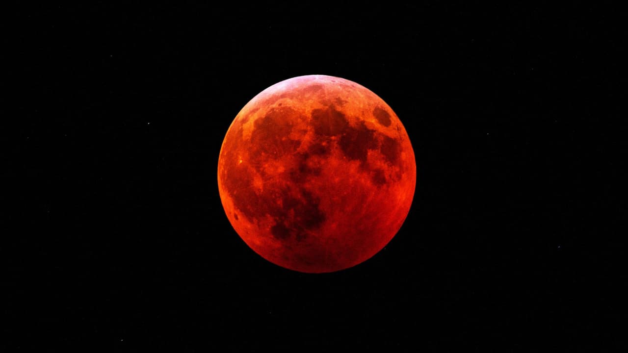 El 14 de marzo de 2025,
<b>los cielos de Austin se teñirán de rojo cuando un eclipse lunar total transforme la Luna en una “Luna de Sangre”.</b> Este será el primer eclipse lunar total visible en la región desde 2022, lo que hace de este evento una oportunidad única para los aficionados a la astronomía y los amantes del cielo nocturno. Aquí te dejamos
<b>todo lo que necesitas saber para aprovechar al máximo este espectáculo natural.</b>