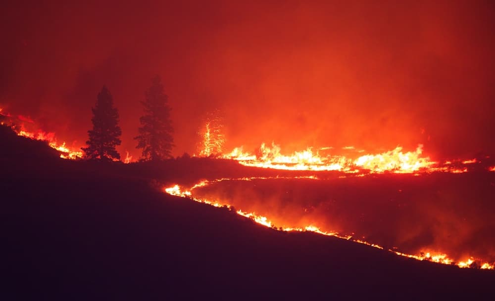 Según el francés, con la llegada de este Papa iniciarían enfermedades, plagas y cambios climáticos que terminarían con la humanidad.