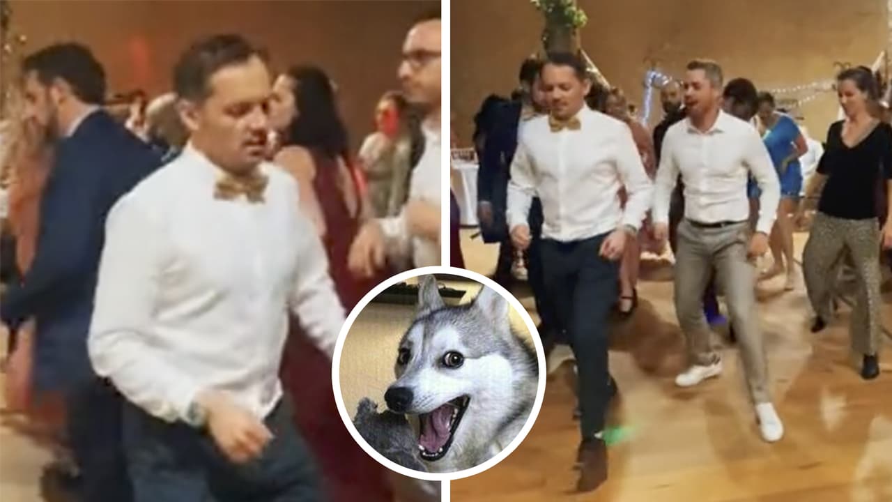 Franceses bailan 'Danza kuduro' como si fuera el 'Payaso de rodeo': video divierte a latinos