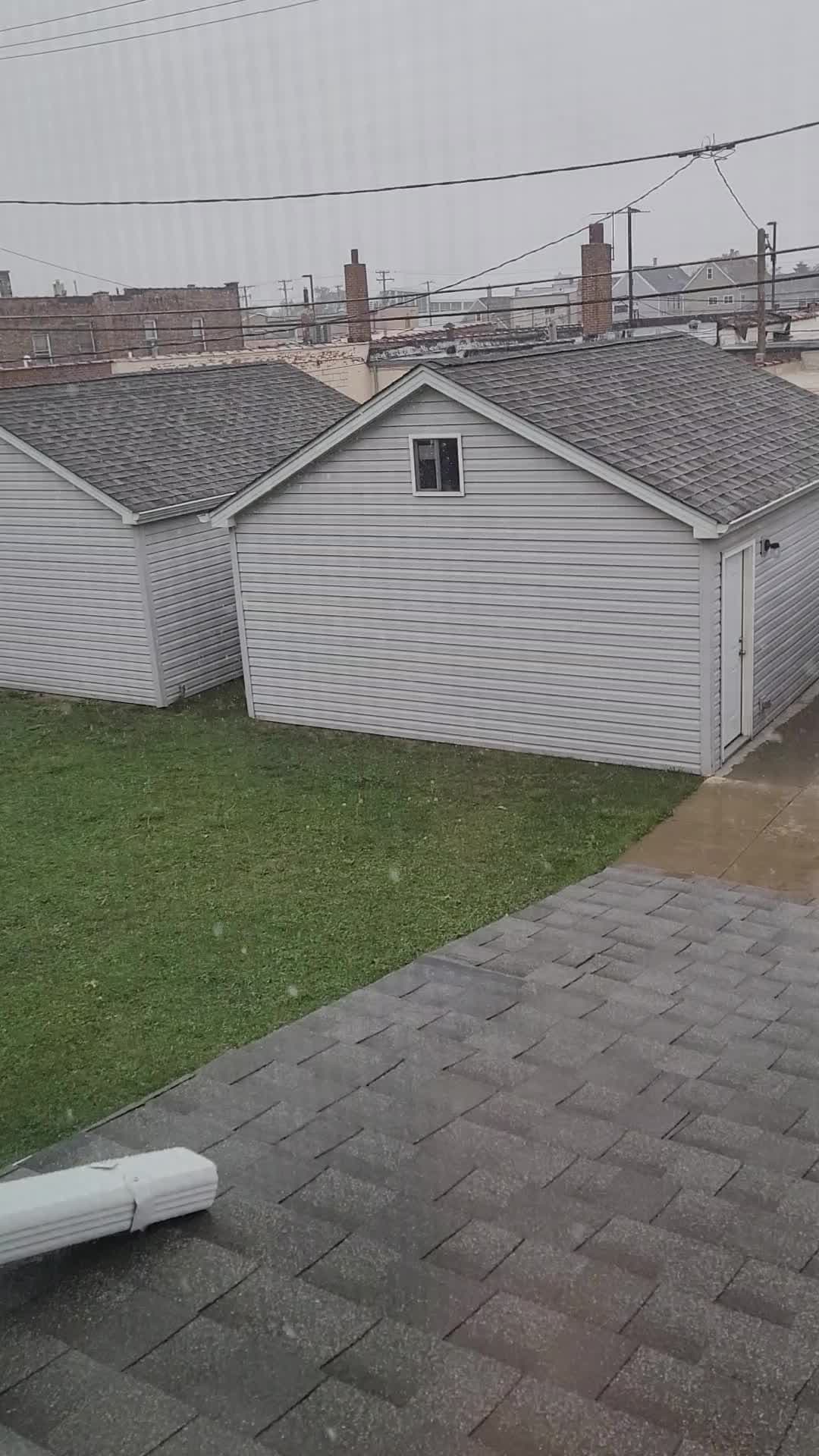 Repórtalo: Así fue la primera nevada de la temporada en Chicago y los alrededores - Estas imágenes nos las mandaron nuestros televidentes a través de nuestra herramienta en nuestra app llamada Repórtalo. Les agradecemos toda su colaboración Gracias Christopher Torres