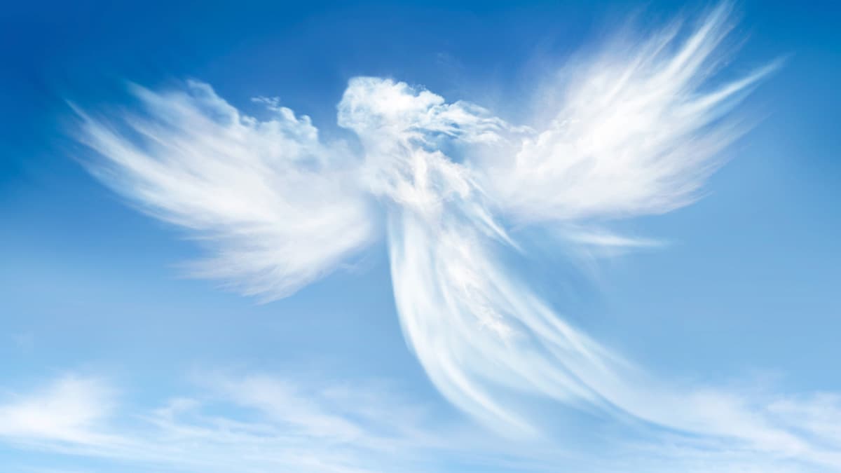 Por ello, los ángeles me han enseñado que es muy importante prestar atención a lo que soñamos para no dejar pasar un mensaje o señal que quizás pueda ser importante para nuestra vida.