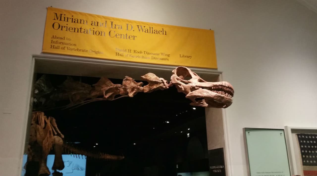 La gran nueva atracción en New York: el gigantesco titanosaurio argentino