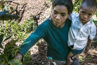La plaga de roya devasta los cultivos de café en Centroamérica. Deja un saldo de miles de empleos perdidos y cuantiosos daños económicos en el sector agrícola.