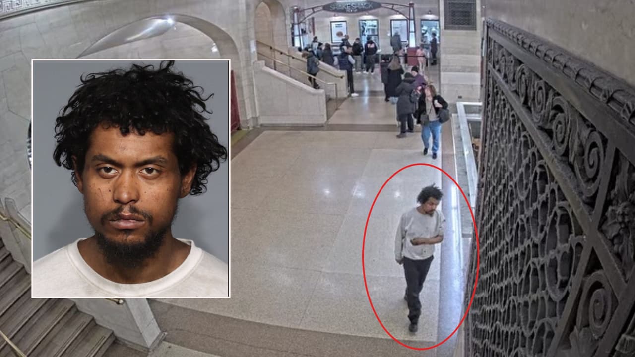 Arrestan a sospechoso por golpear a una niña de 9 años en el Grand Central Terminal