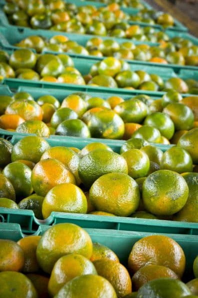 El propietario del periódico mexicano El Universal, Juan Francisco Ealy Ortiz, dio al mandatario un costal de limones.