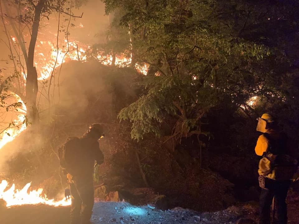 <h3 class="cms-H3-H3"><b>4.- Parque Nacional Barranca del Cupatitzio</b></h3>
<br>
<b> Michoacán</b>
<br>
<b> </b>
<br>Debido a los incendios forestales registrados en Michoacán, y especialmente en esta reserva, diversas especies de animales han tenido que huir hacia las zonas urbanas de la ciudad, donde tampoco están a salvo. Algunas de las especies que han resultado afectadas por los incendios son las aves, reptiles y mamíferos que habitan en zonas boscosas, de acuerdo con el medio 
<i>La Voz de Michoacán</i>.
