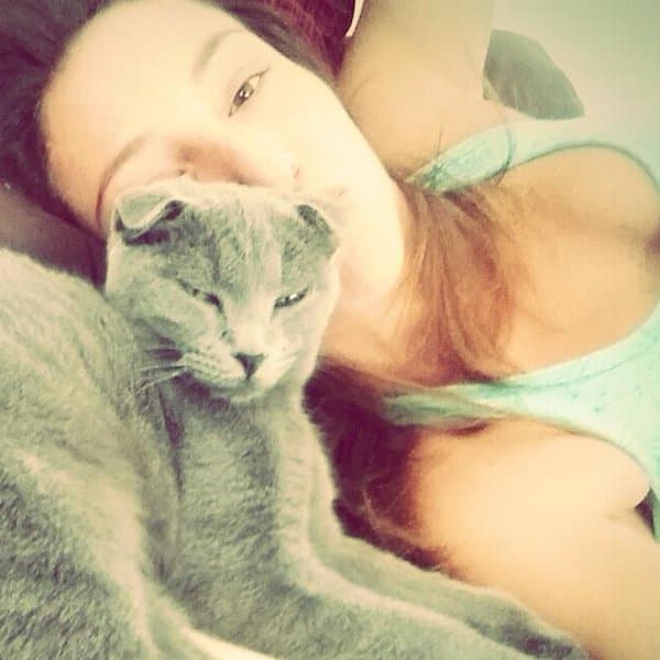 Los gatitos le roban el corazón con su ternura.