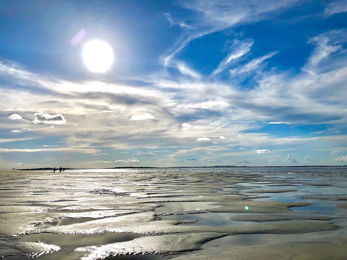 <b><a href="https://visittybee.com/profile/tybee-island-visitor-information-center/8318?gclid=CjwKCAjw2rmWBhB4EiwAiJ0mtRjHzfSUyLAOQujTkon0Yf99P7lcopT2FTHaqXilz6OOCcU9bsaSXRoCdSkQAvD_BwE">Savannah River Beach (Tybee Island)</a></b>. Savannah River Beach es una playa para personas que buscan disfrutar del océano y buscan una experiencia de playa más tranquila. De fácil acceso desde North Beach, que es más concurrida, es posible que Savannah River Beach no ofrezca ninguna de las comodidades de las playas oceánicas, pero lo que sí ofrece es una verdadera experiencia de playa.