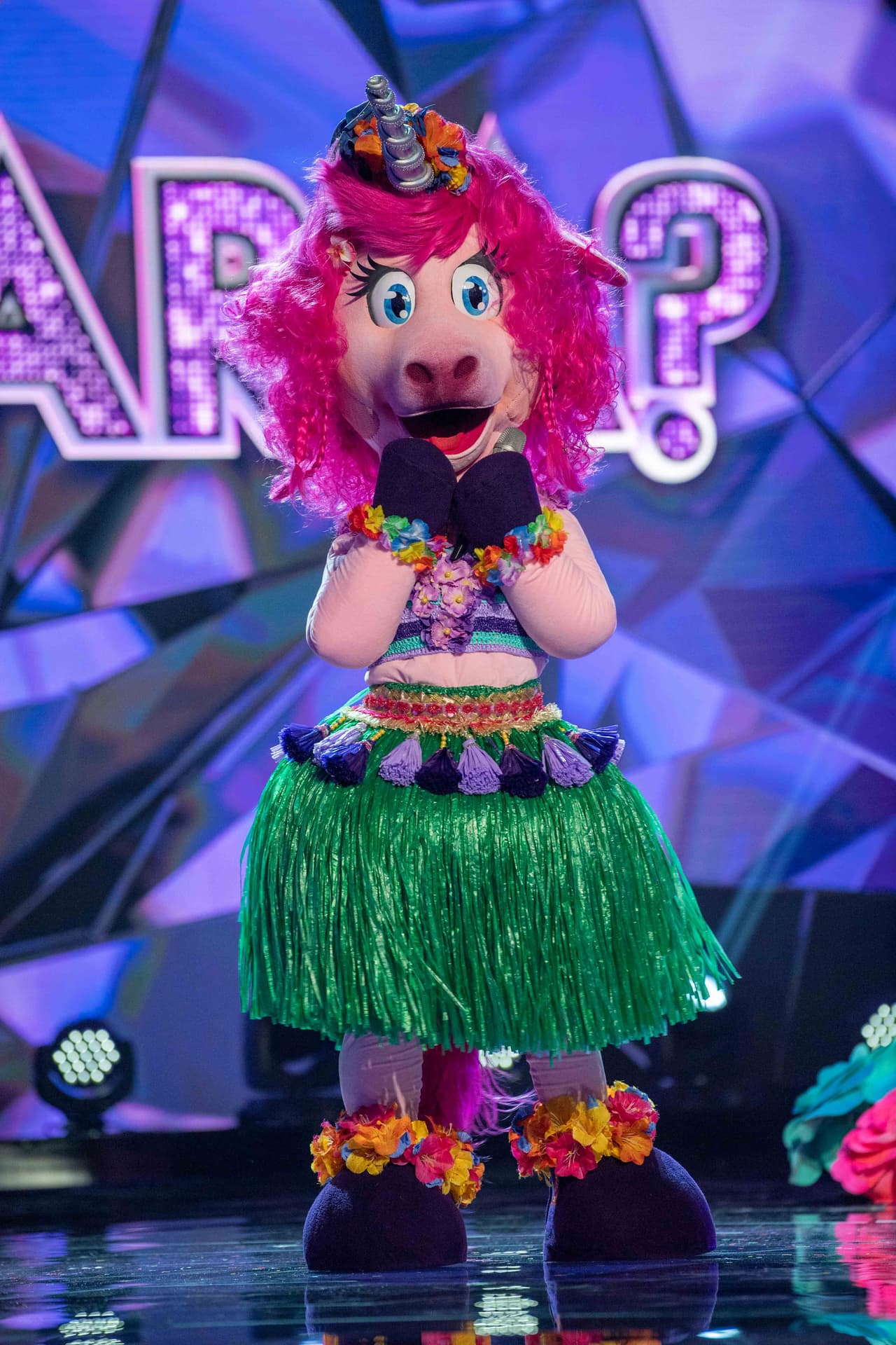 Este Unicornio hawaiano fue el segundo en cantar.