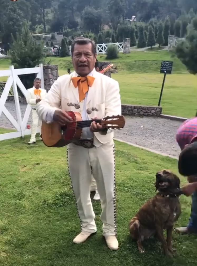 Ariadne nació en Guadalajara México, cuna del mariachi por lo que le encanta su música: "Obvio el mariachi ¡no podía faltar!" escribió en su cuenta de Insatgram.