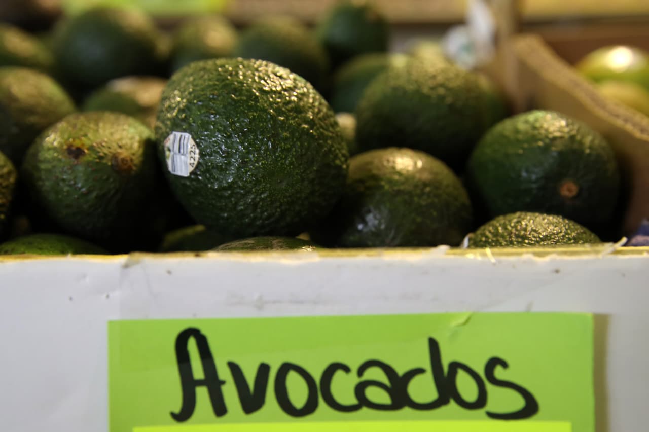 El incremento del precio se da luego que la división de inspección del Departamento de Agricultura de EE. UU. dijo que las exportaciones de aguacates desde el estado mexicano de Michoacán permanecerán suspendidas
<b>“durante el tiempo que sea necesario”</b> para garantizar la seguridad de los inspectores estadounidenses que trabajan en México.