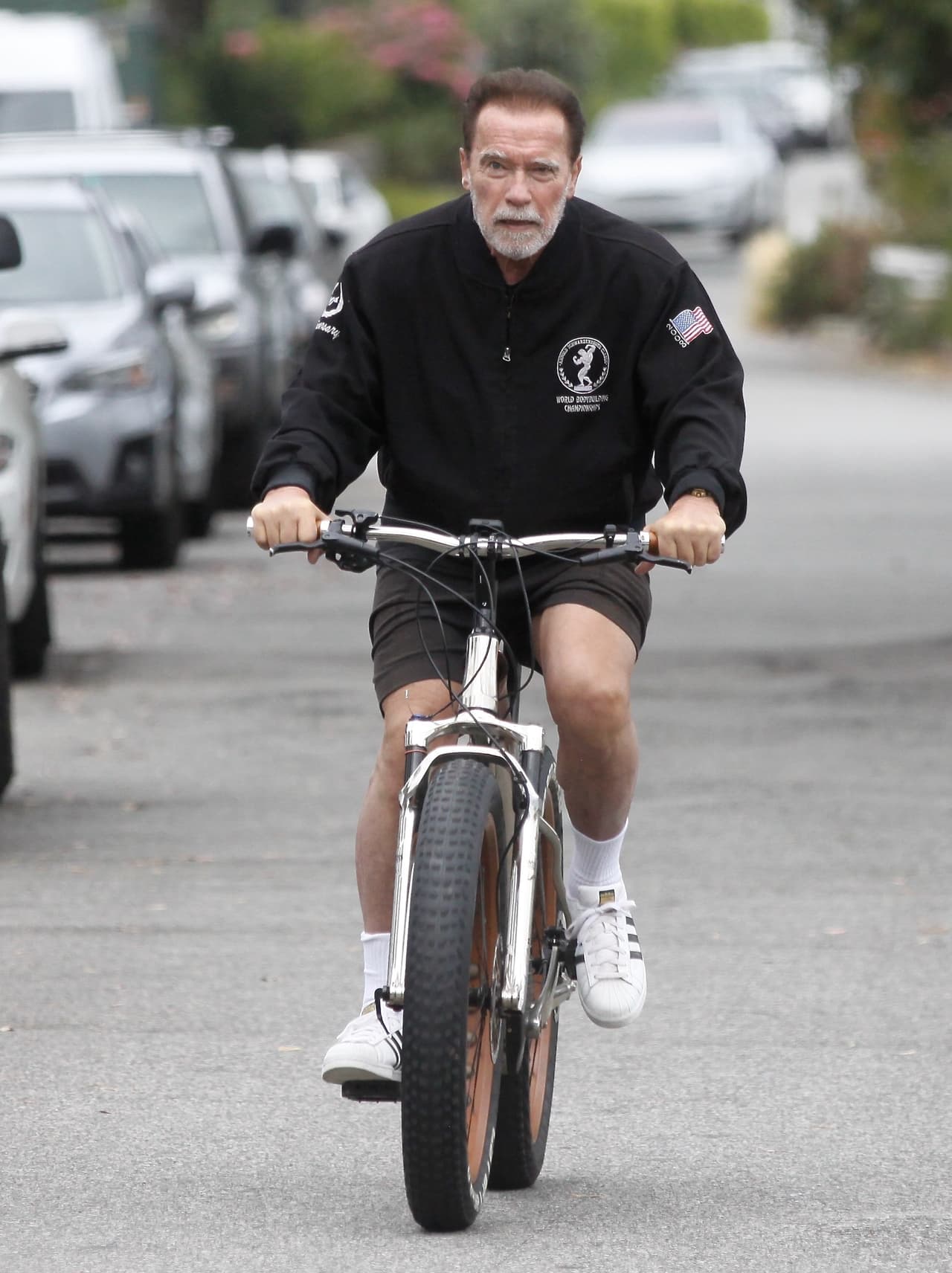 <b>Arnold Schwarzenegger</b> 
<b>sufrió un accidente</b> la mañana del pasado 29 de junio, reportó la agencia fotográfica The Grosby Group.
<br>