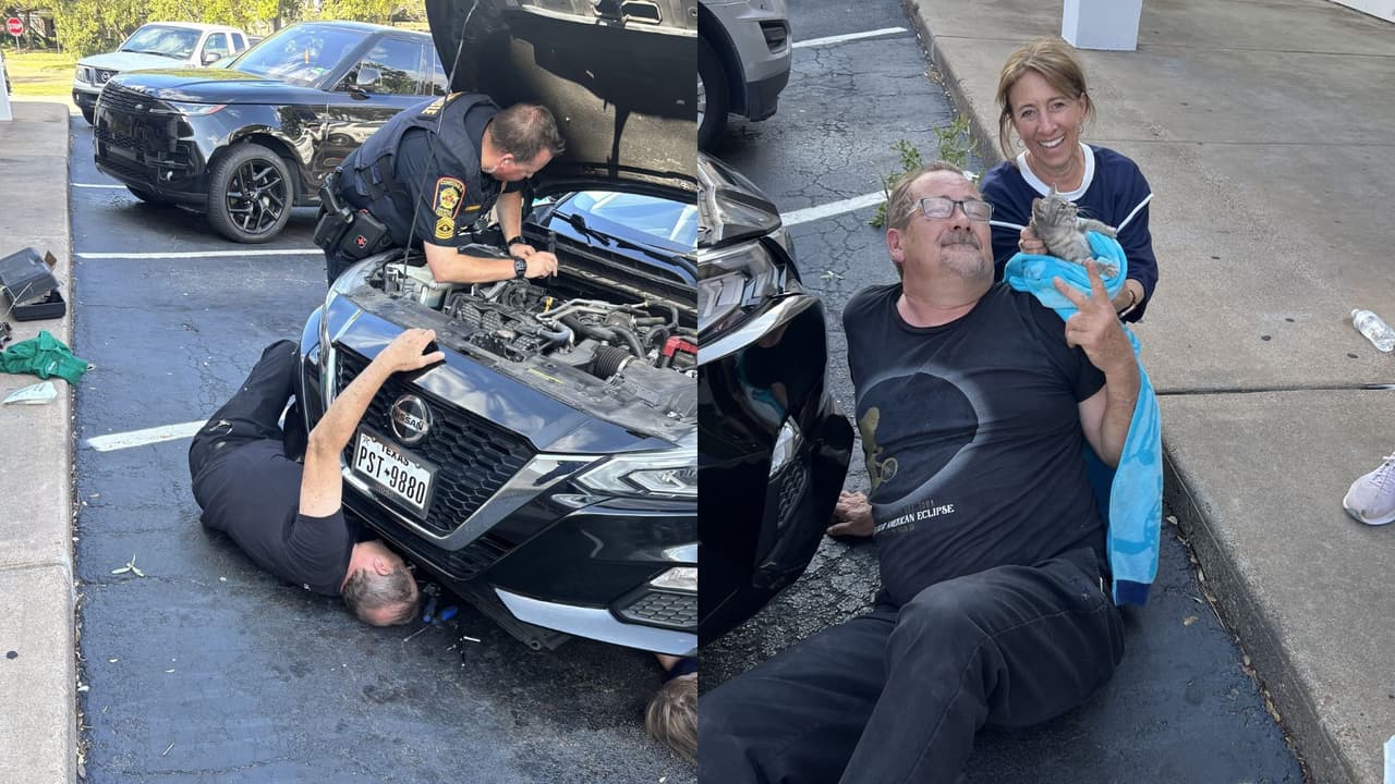 Así fue el rescate de una gatita que terminó atrapada en el motor de un auto en el condado de Harris
