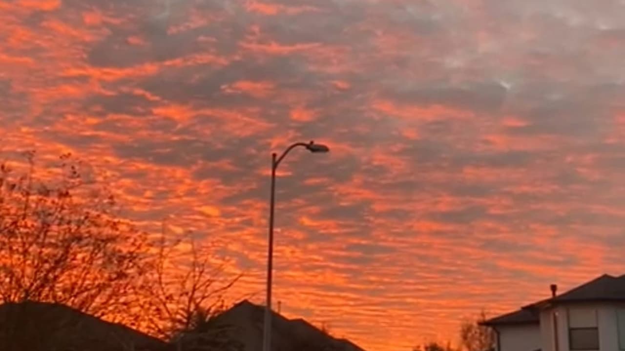 Fotografía de Leidys Flores de Cinco Ranch.