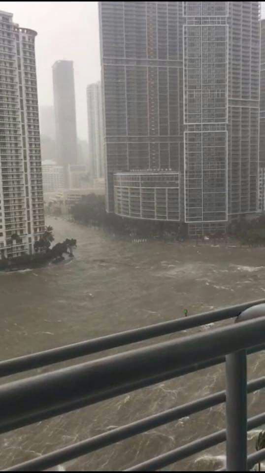 The luxury condominium
<a href="http://www.iconbrickell.com/"> Icon Brickell </a>Avenue stands on the Miami River just south of downtown Miami. Apartrment sells for more than $1 million.