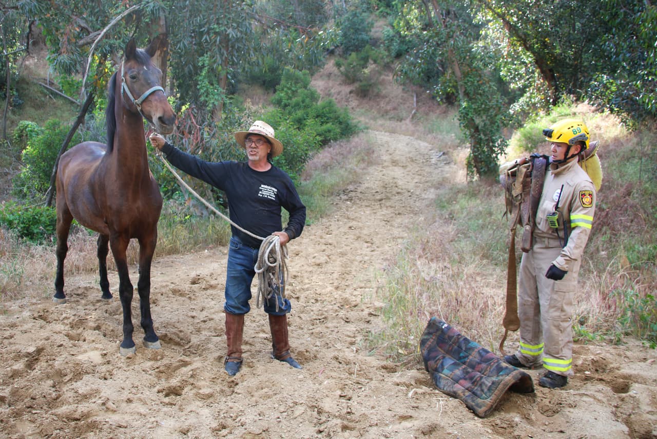 Tras dar las gracias y despedirse, Poncho parecía listo para emprender una nueva aventura a galope.