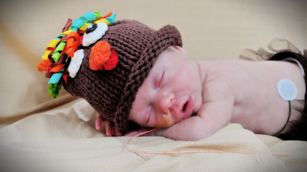 Las tiernas imágenes capturan la esencia del espíritu festivo y
<b>demuestran la dedicación excepcional del personal médico</b>, que va más allá de la atención convencional. La celebración del Día de Acción de Gracias en los hospitales se convierte así en
<b>un recordatorio conmovedor de la resiliencia y valentía de estos pequeños pacientes y sus familias</b>.