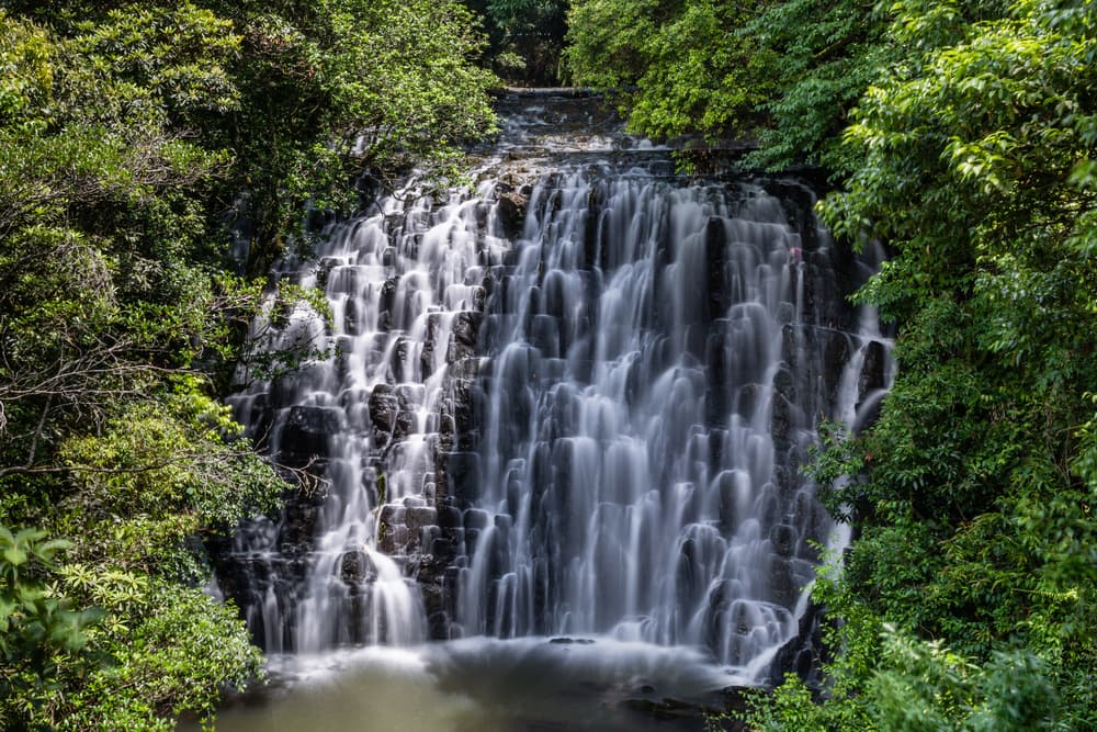 En el bosque sagrado de Shillong encontrarás muchísima flora impresionante: orquídeas únicas, hongos que brillan por la noche e inclusive variedad de plantas y árboles que los locales usan para curar varias enfermedades. Hay unas efigies de piedra dentro del bosque que la leyenda cuenta que los usaban para sacrificios y rituales antiguos.