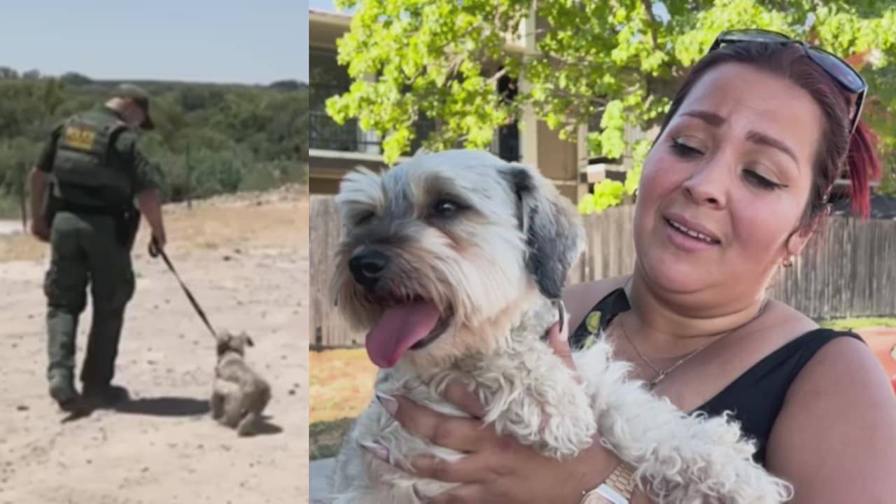 Emotivo reencuentro entre familia migrante y su perrita es captado en video: fueron separados en la frontera