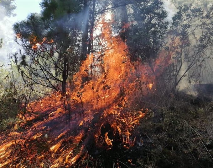 <h3 class="cms-H3-H3"><b>9.- Parque Nacional El Tepozteco</b></h3>
<br>
<b>Morelos</b>
<br>
<b> </b>
<br>Hasta este lunes, este incendio está en un 70% de control y 50% de liquidación, luego de que se movilizaron 202 brigadistas. Los vientos de hasta 15 kilómetros por hora (9.3 mph), más el hecho de que el fuego se encuentra en una zona de riscos, ha complicado las labores de los expertos que luchan por controlar el incendio.
<br>
<br>En los últimos días, 10 voluntarios resultaron heridos, intoxicados y extraviados, luego de participar en las labores de mitigación del fuego.