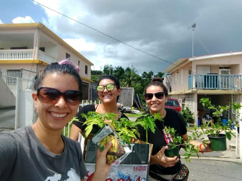 Reforestar desde casa, iniciativa para aprovechar la cuarentena en Puerto Rico