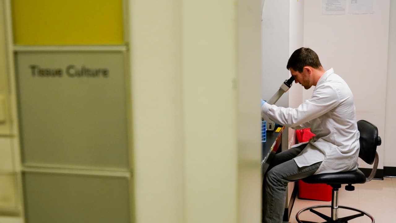 El tabaquismo no es el único factor que aumenta el riesgo del cáncer de pulmón