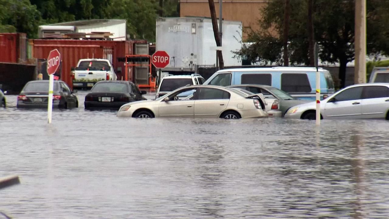 El sur de Florida recibió un total de 12.80 pulgadas de lluvia durante las tormentas y según autoridades las bombas de drenaje de la zona norte de Hallandale Beach no funcionaron correctamente, por lo que colapsaron algunas vías principales.