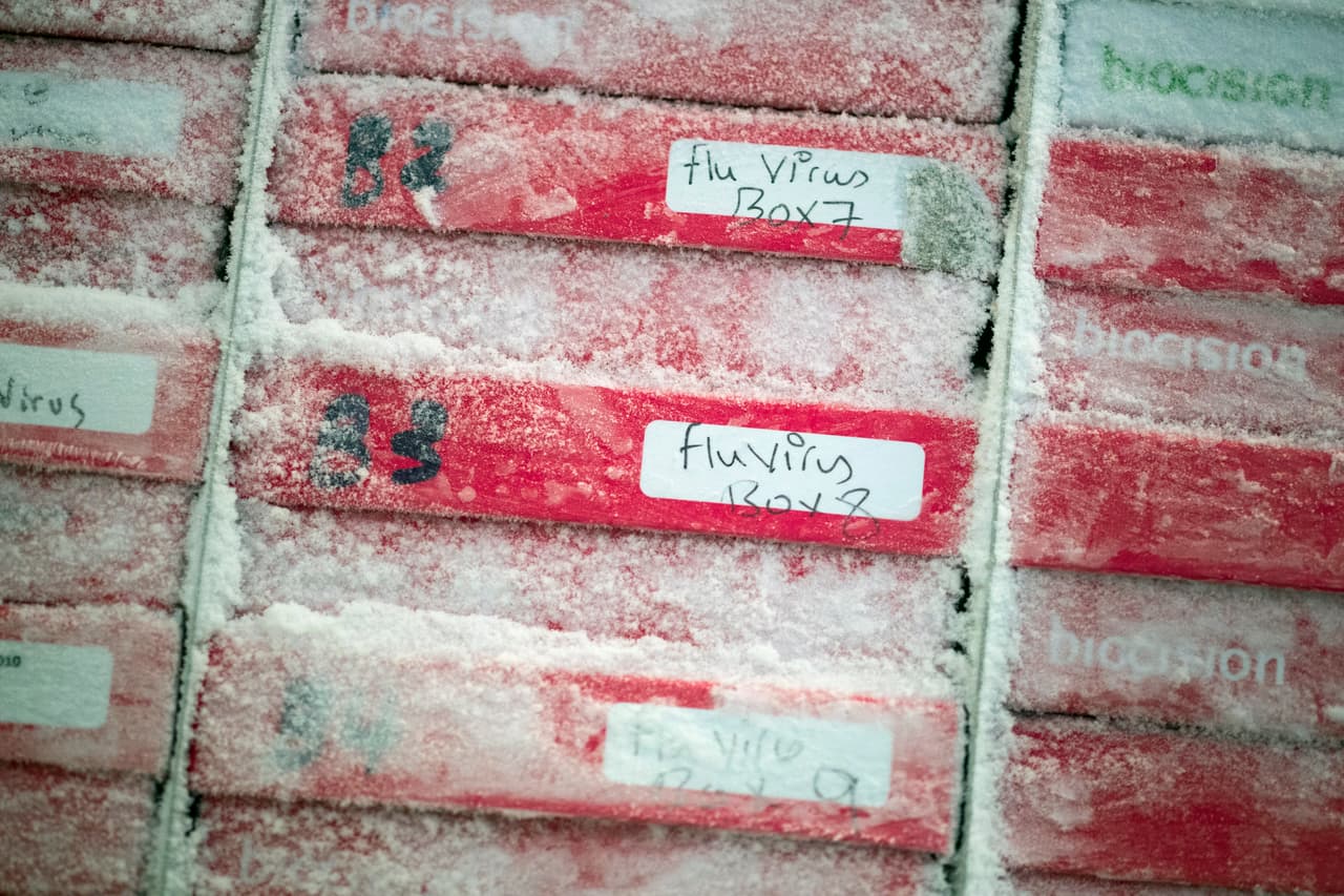 El virus refrigerado en el Centro de Investigación de Vacunas de los Instituto Nacional de Salud, en Bethesda, Maryland, en 2018, 100 años después de la epidemia en EEUU. Según los CDC, aunque el virus H1N1 de 1918 se ha sintetizado y evaluado, las propiedades que lo hicieron tan devastador todavía se están estudiando.