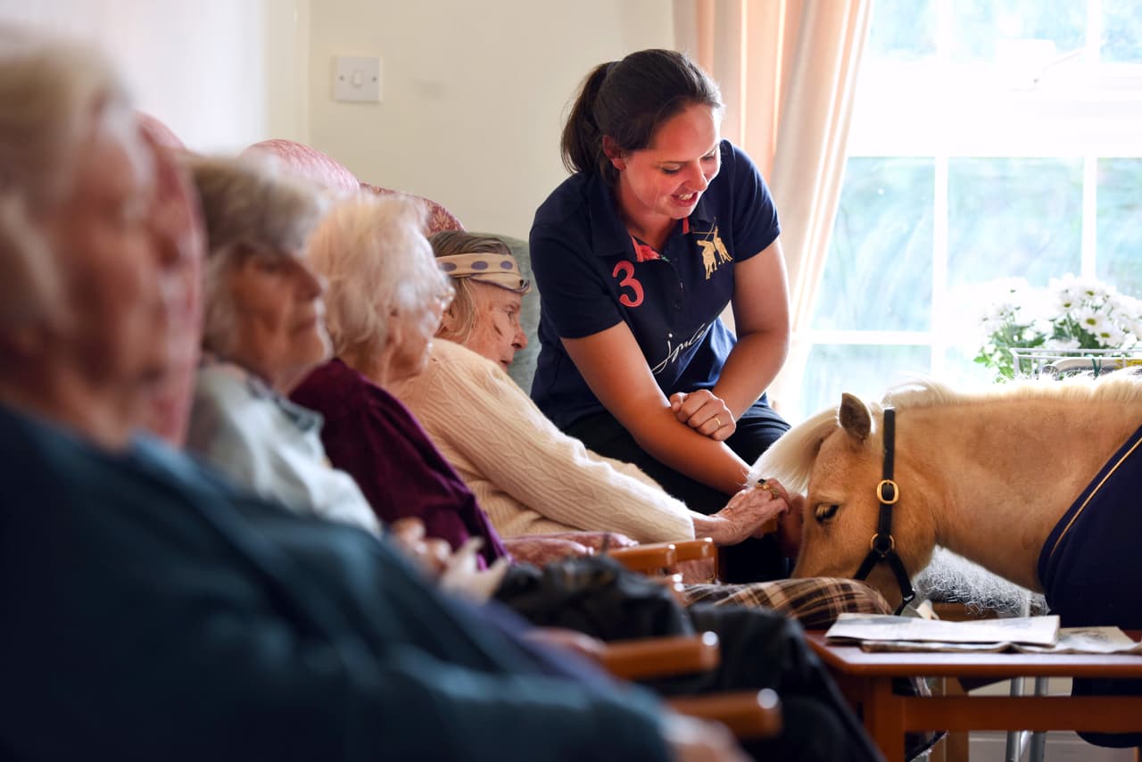 Gracias a estos animalitos, ellos vuelven a tener una sonrisa y algo que los saca de la monotonía.