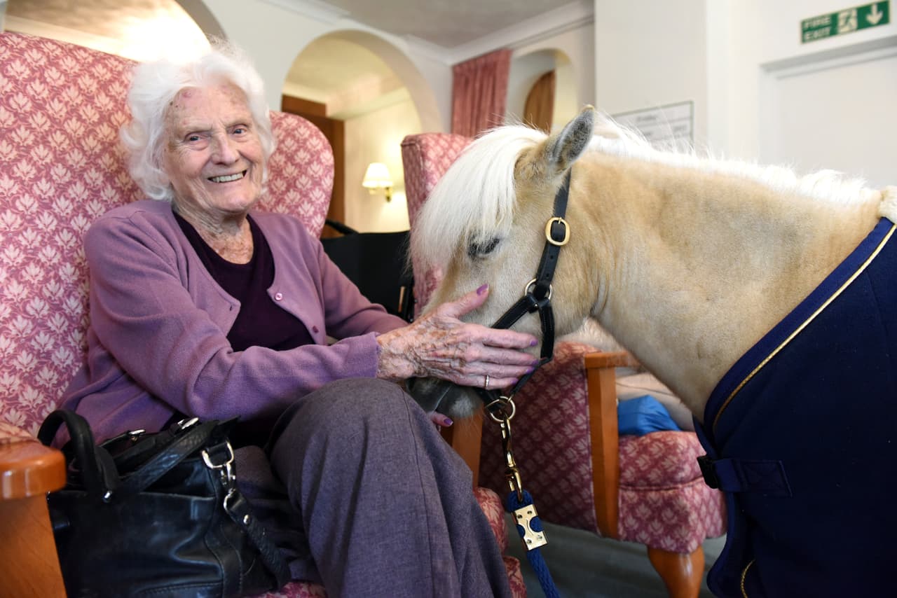 A Mr. Cheddar le fascina tanta atención, mimos y palabras de los dulces residentes.