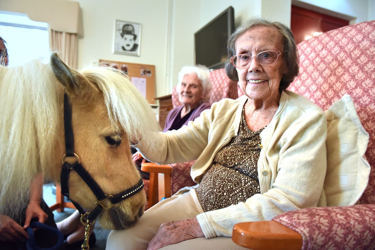 Fue así como el programa comenzó.