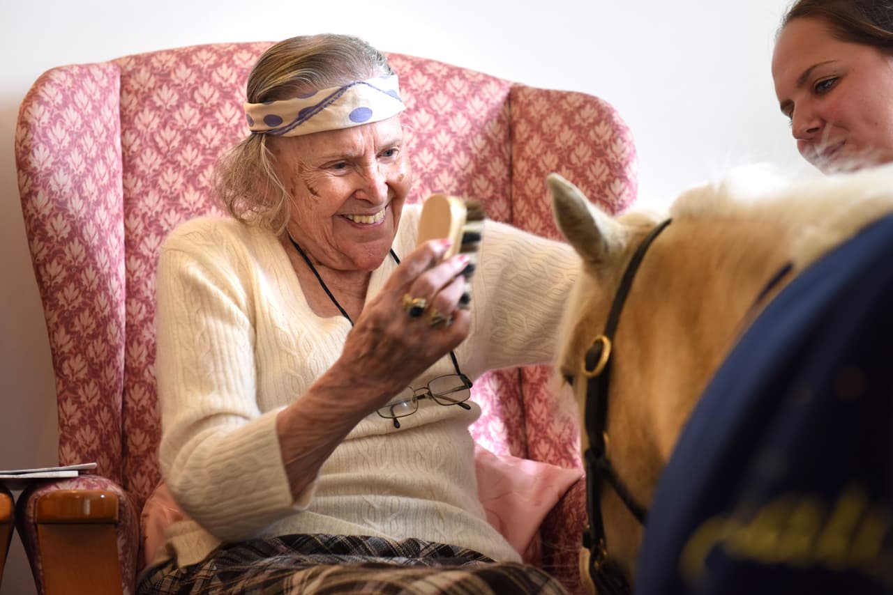 No sólo los residentes aman a los ponis. Además el staff disfruta hacerlo, los animalitos pasan un genial momento y los parientes de quienes ahí viven están encantados de ver el rostro feliz de sus familiares.