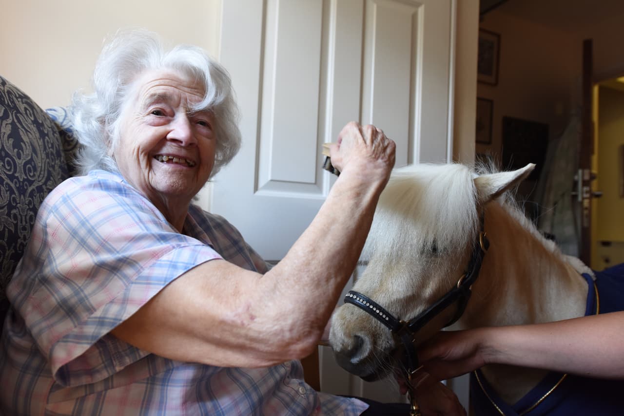 "Son muy lindos, es una alegría de verdad cuando los animales nos visitan. Soy una amante de los animales. Me trae felicidad. Una vez tuve un caballo, pero nos mudamos y tuve que dejarlo. ¡Fue peor que despedirme de mis padres!”, bromeó Caroline Jukes, de 90 años.
