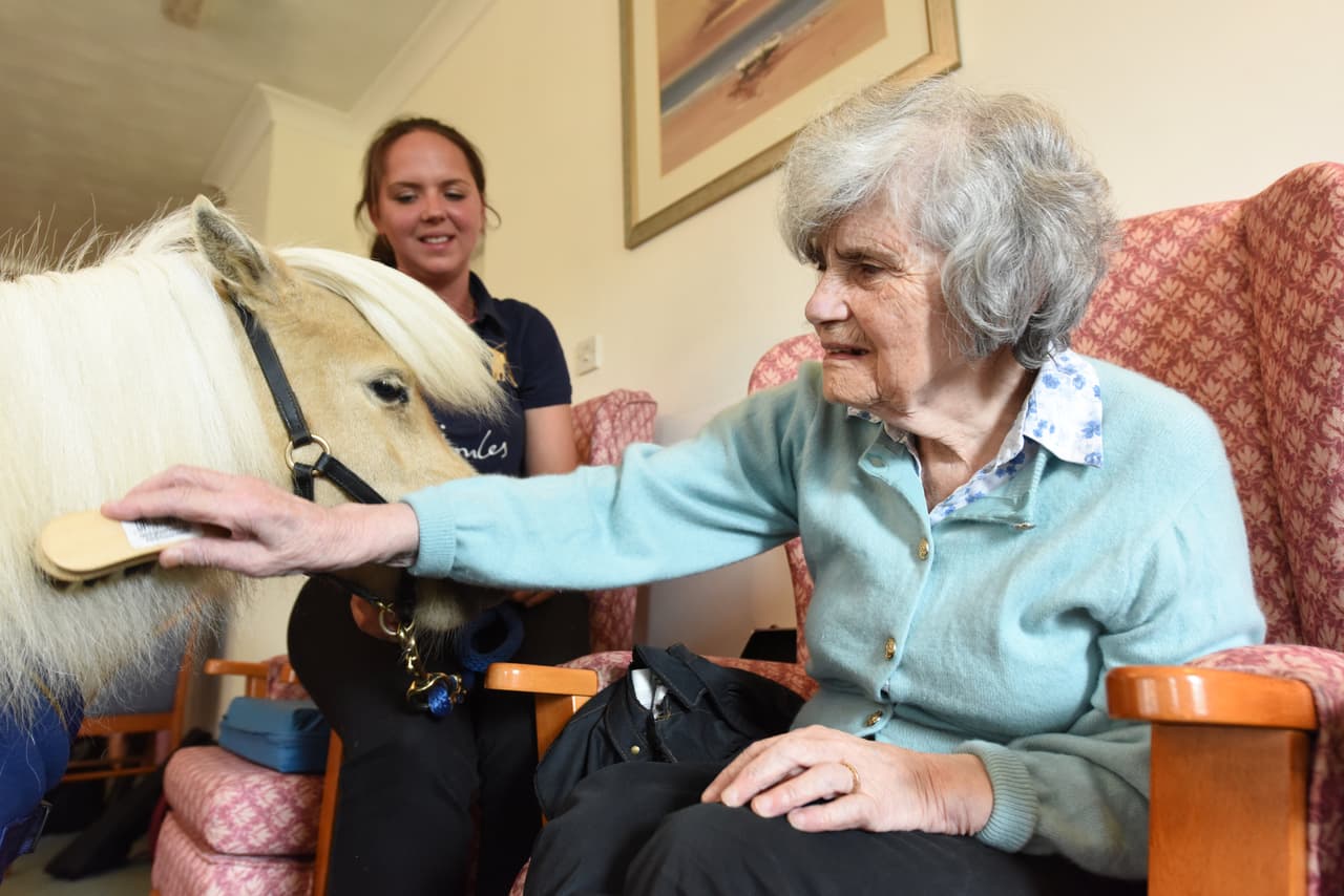 Después de algunos problemas que incluyeron pequeñas mordidas, ella optó por entrenar a los ponis para que específicamente visitaran el asilo.