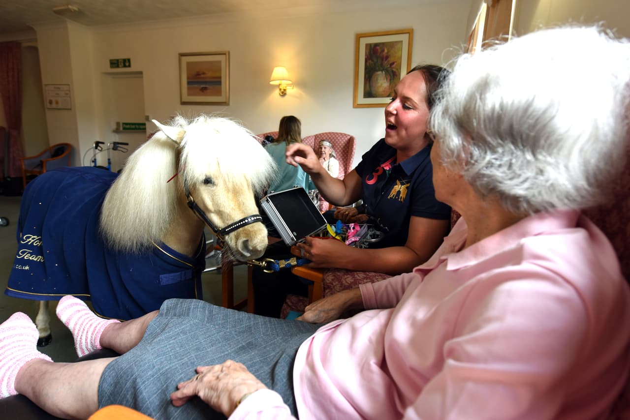 “Hacía un clima muy feo, así que llevamos al pony adentro para que conociera a todos. ¡Noodles encantó a la multitud y las reacciones en su rostro no tuvo precio!”, admitió ella.