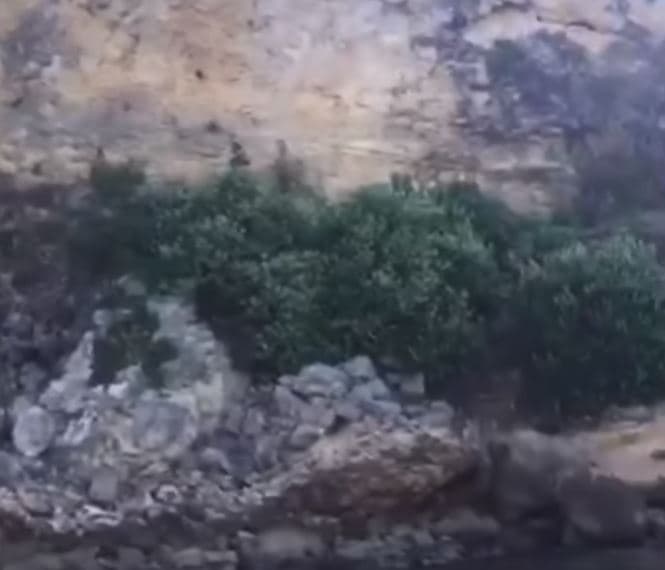 Temblores de tierra han provocado deslizamientos de terrenos en Guánica 