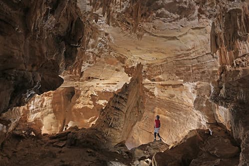 <b>Frick's Cave (Condado de Walker):</b> Frick's Cave es un sitio preservado y protegido, propiedad de Southeastern Cave Conservancy. Aproximadamente 10,000 murciélagos grises en peligro de extinción hacen su hogar de verano aquí. La cueva está abierta una vez al año en el invierno cuando los murciélagos se han ido, para permitir que los miembros del grupo y sus invitados ingresen a este sitio.