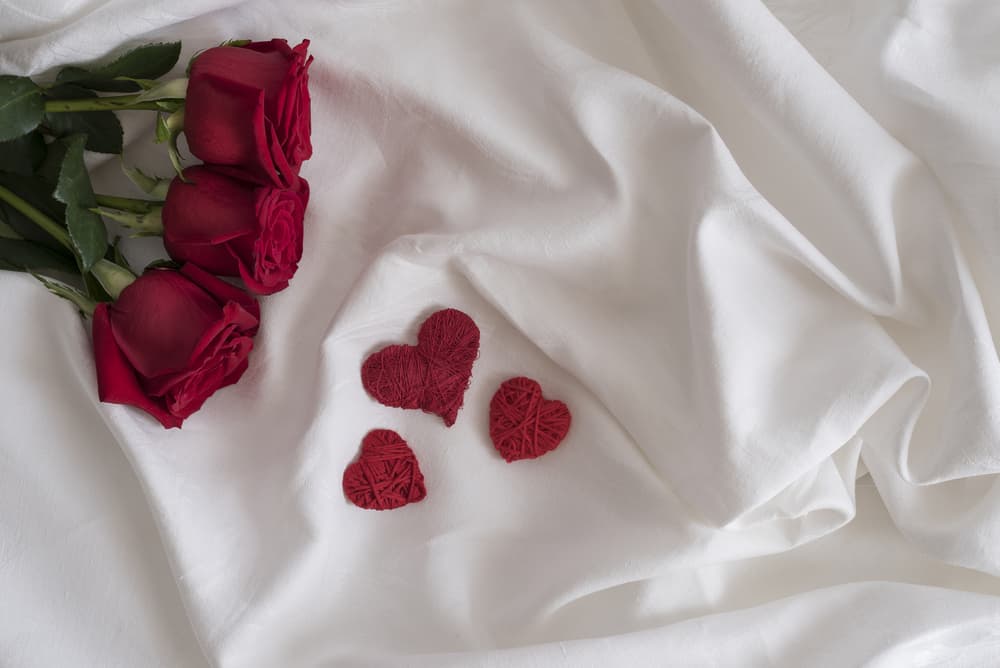 <b>Libra</b>
<br>Con el tránsito retrógrado de Júpiter por tu signo librano el amor presenta un aspecto hasta ahora poco explorado por ti. Decidirás dejar a un lado tus procedimientos rutinarios para resolver cuestiones laborales y actuar de manera imprevista tomando medidas que asombrarán a todos, pero una vez puestas en práctica demostrarán eran necesarias para ti.
<br>