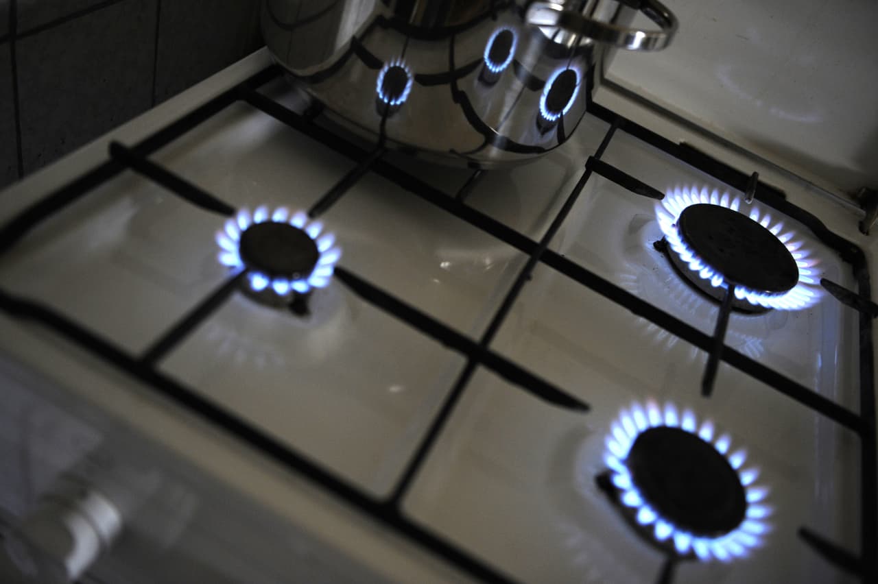 <b>Almas unidas para el bienestar social:</b> La Asociación de Mexicanos en Carolina del Norte ofrece programas de ayuda para las comunidades rurales del este del estado, brindado apoyo en servicios como: alimentos, objetos de uso personal y pagos de servicios públicos. Contacto: Amexcan: (252)3678779, Bianca Pérez: (252)6246631, Elizabeth Medina: (252)6861597 (de lunes a viernes de 9am-4pm), también puede enviar los documentos de solicitud al: covid19@amexcannc.org.