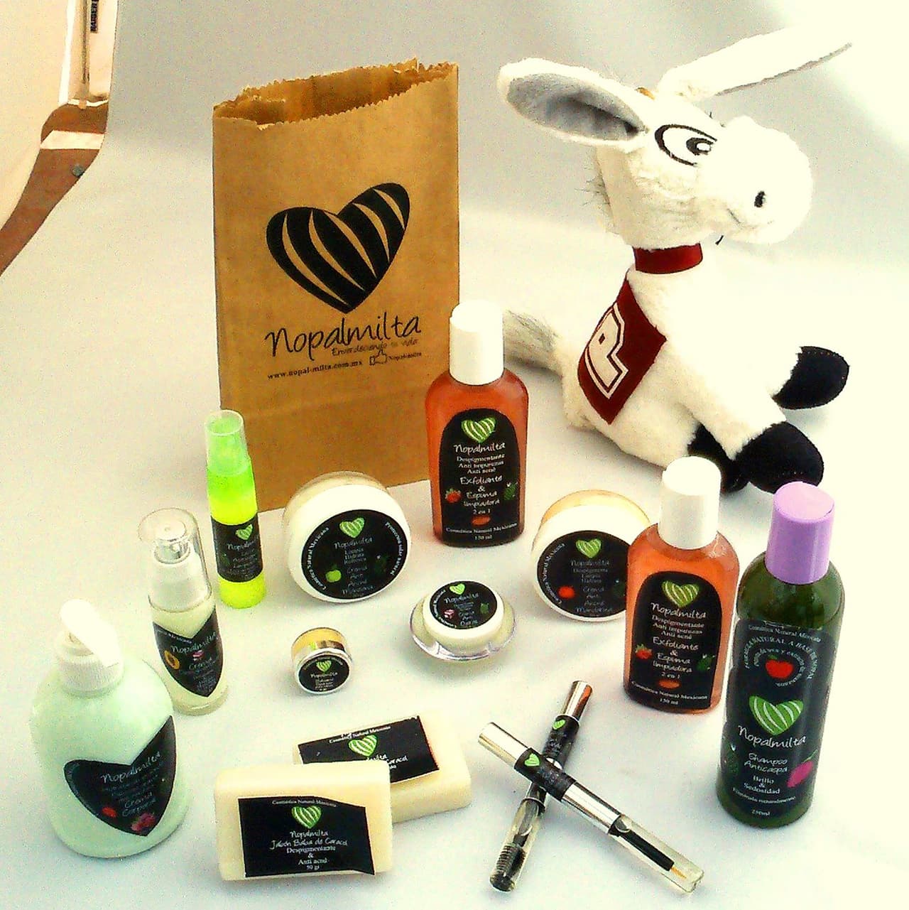 Un grupo de estudiantes del Instituto Politécnico Nacional de México crearon Nopalmita, marca de cosméticos a base del cactus para tratar problemas de la piel (resequedad, acné) y caída del cabello. También tienen desmaquillantes, exfoliantes, mascara para las pestañas y polvo matificante.
<br>