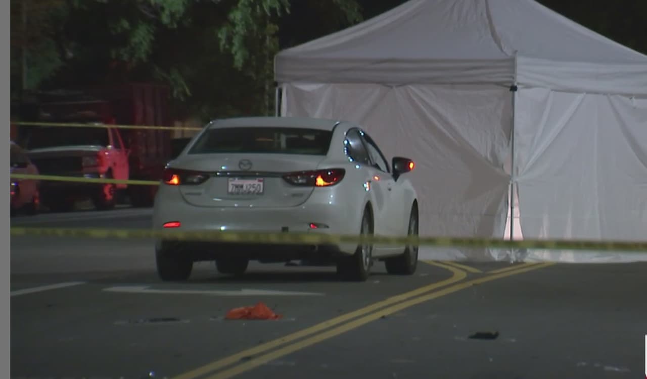 Trágico accidente cobró la vida de una madre, su hija y su mascota en el sur de California